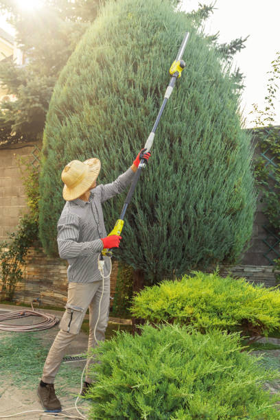 Best Lawn Grading and Leveling  in Presidential Lakes Estates, NJ
